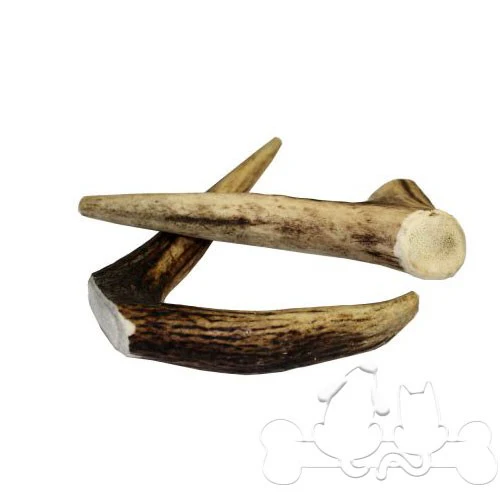 Nature Delì Corna di Cervo Snack per Cani - immagine 3