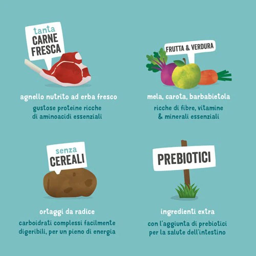 Edgard & Cooper Cane Adult Agnello Mela e Carote - immagine 4