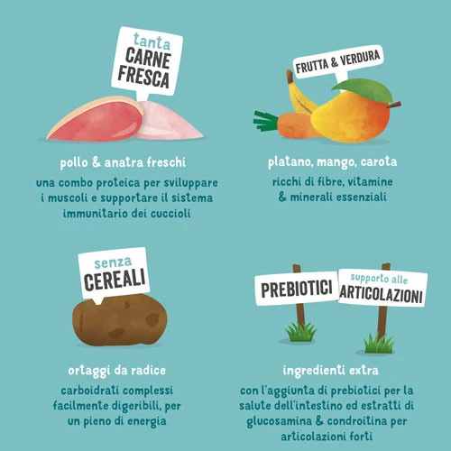 Edgard & Cooper Cane Puppy Anatra Pollo Banana e Mango - immagine 4
