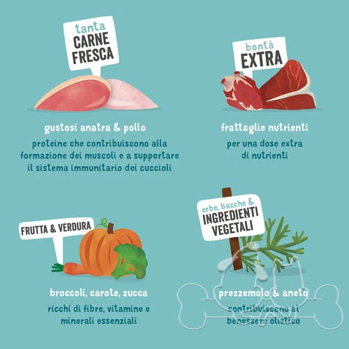 Edgard & Cooper umido cane Puppy Anatra Pollo Broccoli Carote - immagine 4