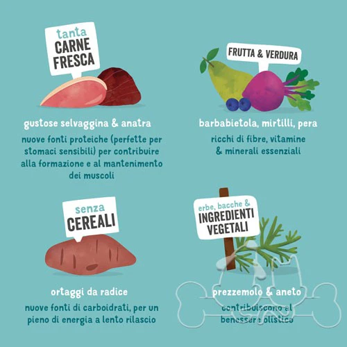 Edgard & Cooper umido cane Adult Selvaggina Anatra Barbabietola e Mirtilli - immagine 4