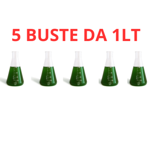 Bea Green PRO 5 buste da 1lt