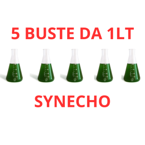 Bea Synecho Mix 5 BUSTE DA 1LT