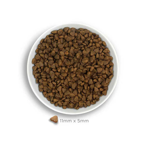 Amanova MINI Adult Sensitive Deluxe Salmone per Cani - immagine 3