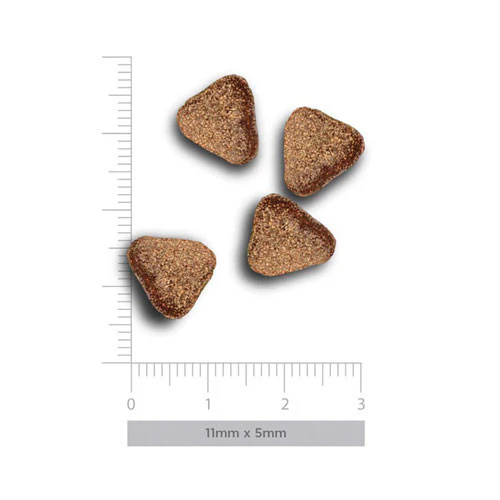 Amanova MINI Adult Sensitive Deluxe Salmone per Cani - immagine 4