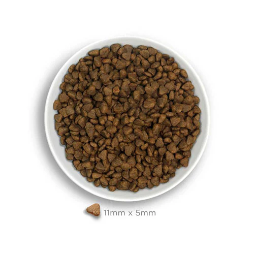 Amanova MINI Adult Exigent Iberian Maiale per Cani - immagine 3