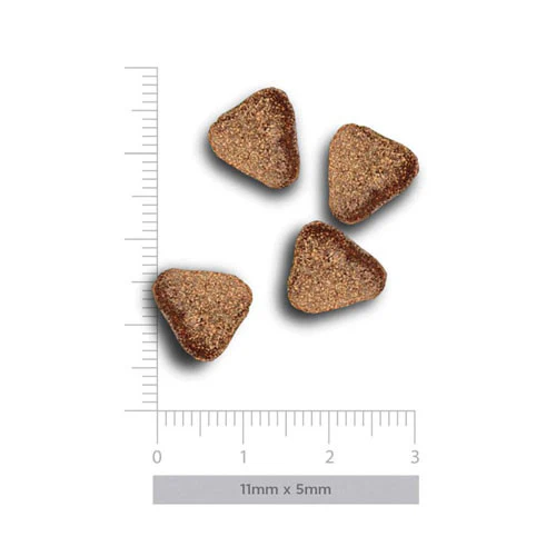 Amanova MINI Adult Sensitive Delicious Agnello per Cani - immagine 4