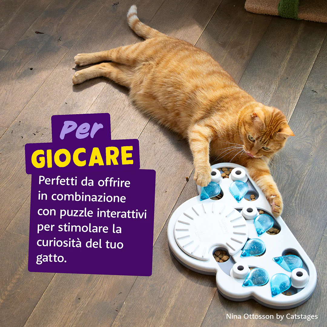 Edgard & Cooper Biscottini CRUNCHIES di Salmone Snack per GATTI - immagine 6