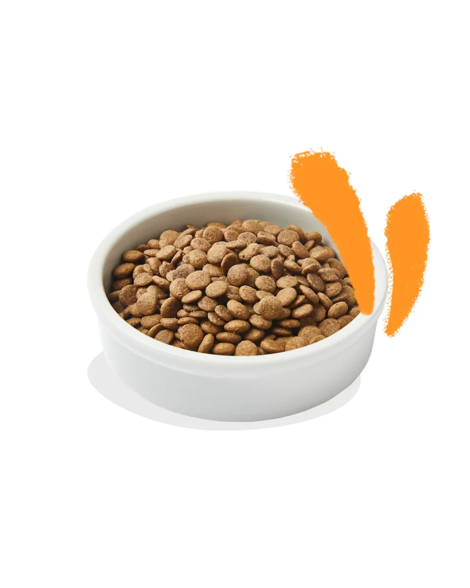 Edgard & Cooper - Cat Adult Grain Free - Pollo Fresco 2 kg - immagine 3