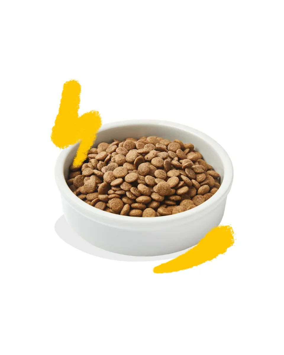Edgard & Cooper - Cat Adult Grain Free Tacchino e Pollo 2 kg - immagine 3