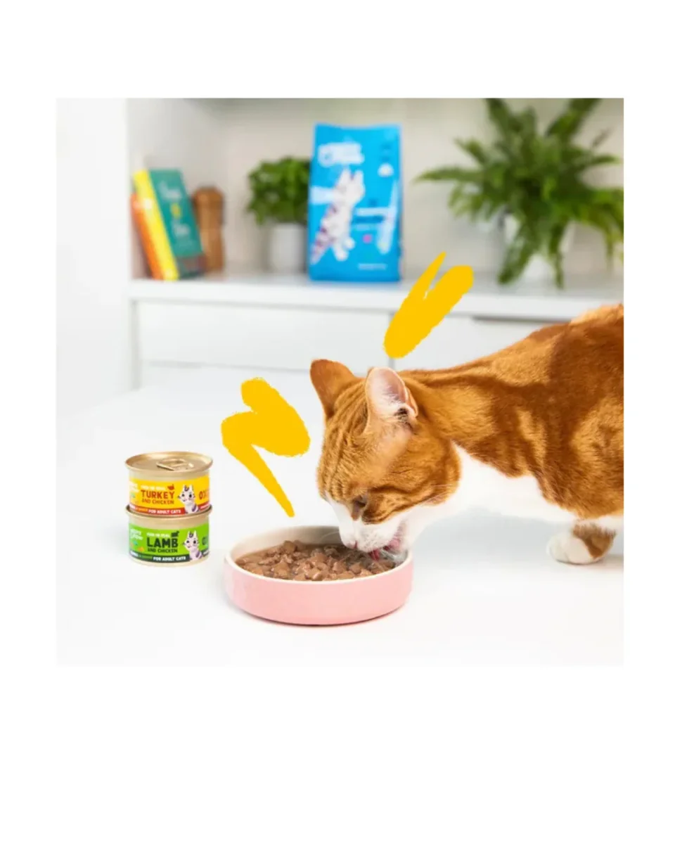 Edgard & Cooper - Cat Adult Grain Free Tacchino e Pollo Bocconcini in Salsa 85 g - immagine 4