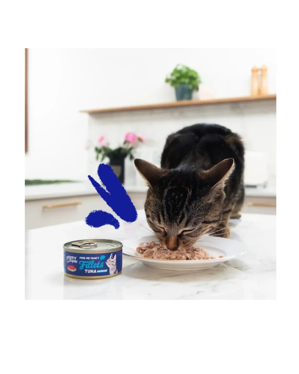 Edgard & Cooper - Cat Grain Free Tonno Sfilaccetti 70 g - immagine 4