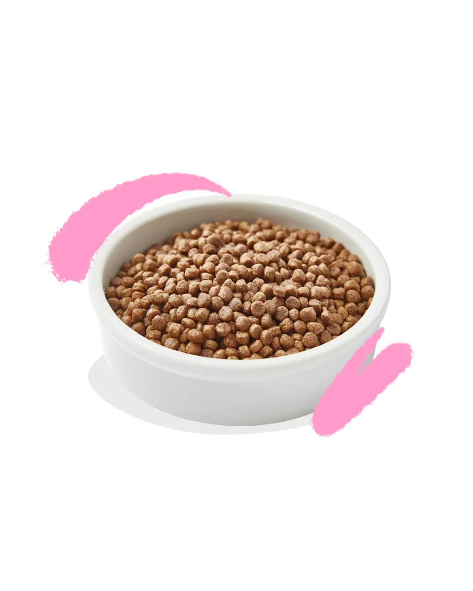 Edgard & Cooper - Cat Kitten Grain Free - Anatra e Pollo freschi 2 kg - immagine 3