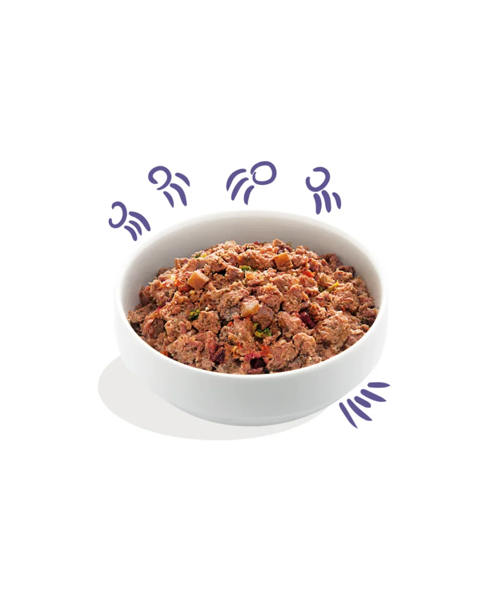 Edgard & Cooper - Dog Adult Grain Free Manzo 400 g - immagine 3