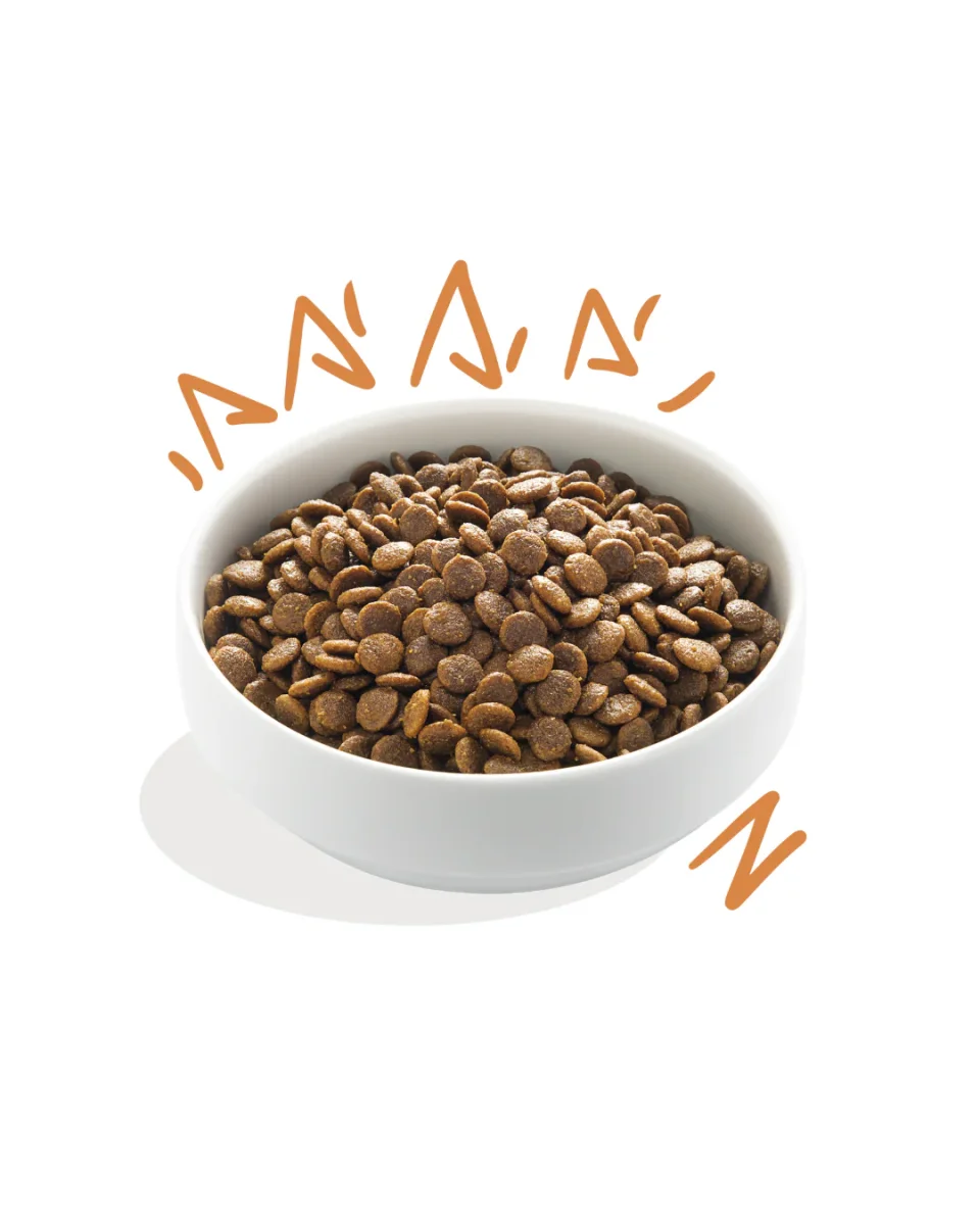 Edgard & Cooper - Dog Adult Grain Free Pollo (allevato a terra) 700 gr - immagine 3