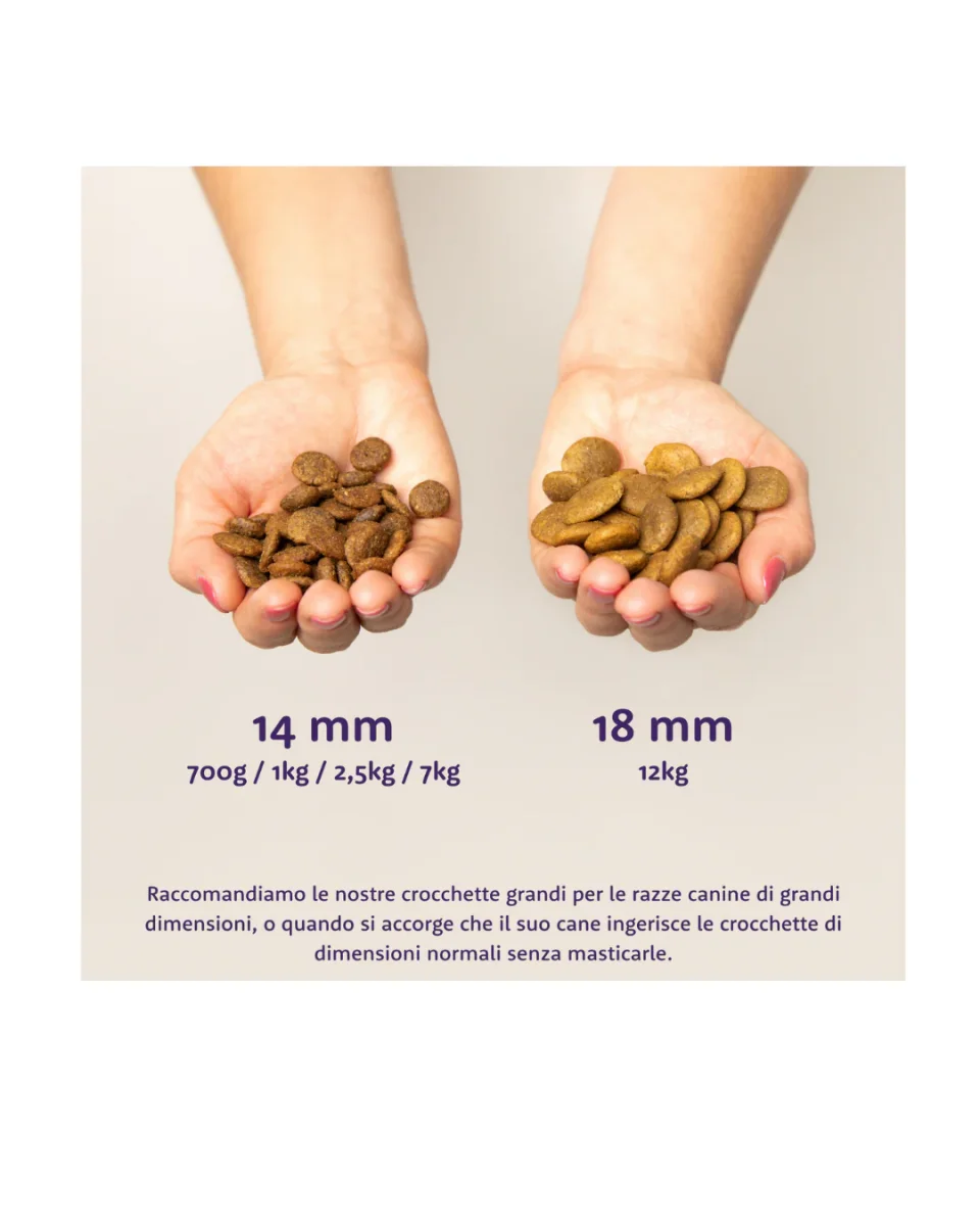 Edgard & Cooper - Dog Adult Grain Free Pollo (allevato a terra) 700 gr - immagine 4