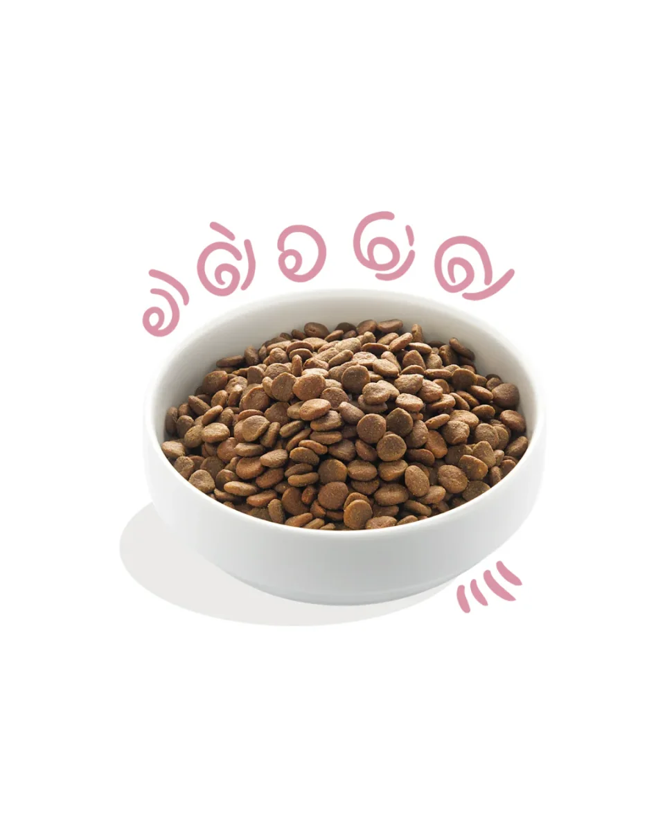 Edgard & Cooper - Dog Puppy Grain Free Anatra & Pollo (allevata a terra) 700 g - immagine 3