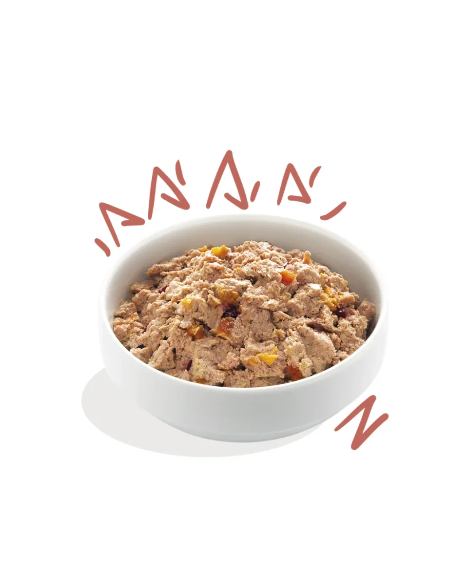 Edgard & Cooper - Dog Senior Pollo & Salmone Grain Free 150 g - immagine 3