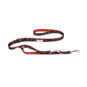 Amiplay - Be Happy Guinzaglio Addestramento 7 in 1 Taglia L 100-200 x 2,5 cm