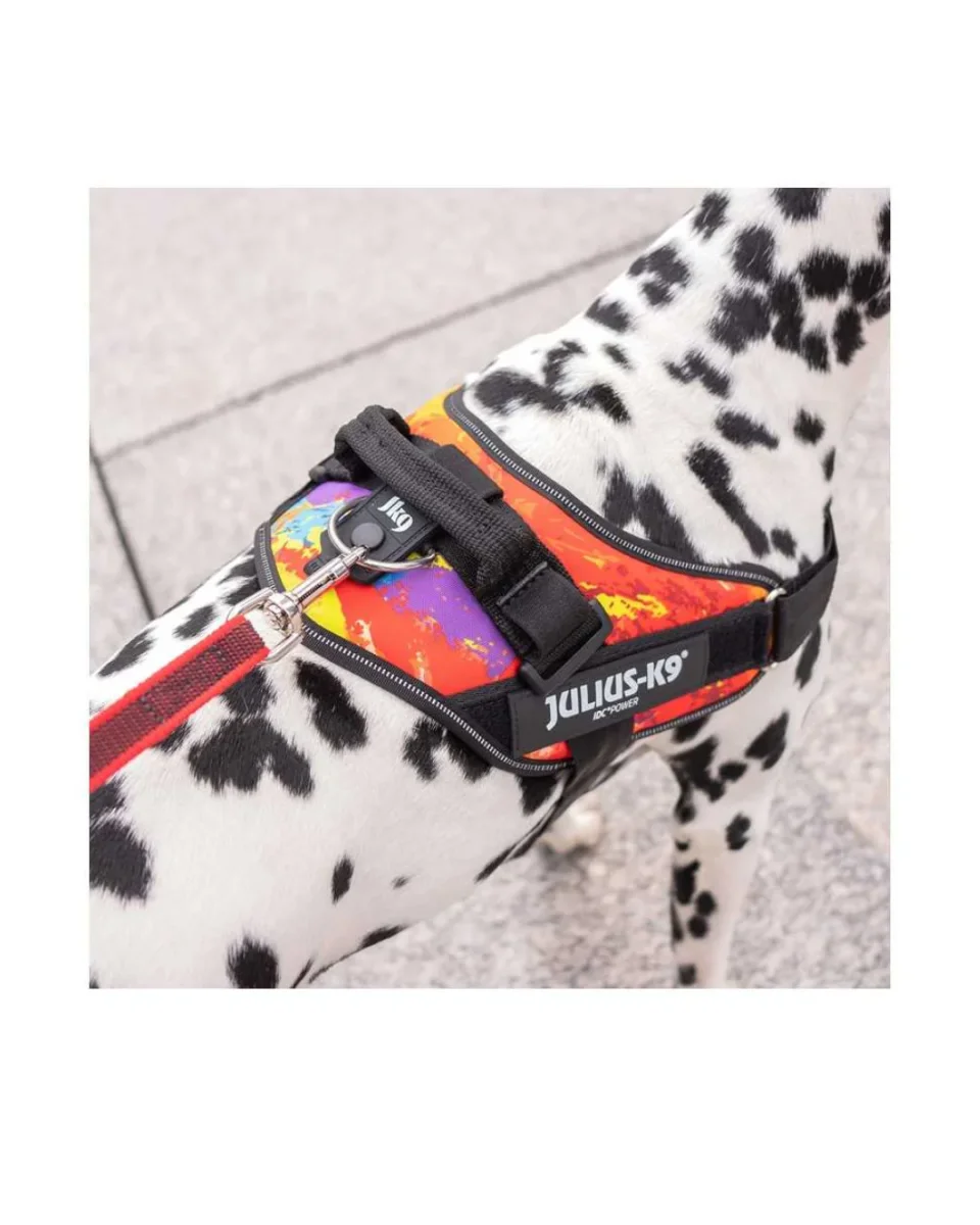 Julius K9 - IDC Powerharness Pettorina Crazy Taglia 0 - 58-76 cm - Peso 14/25 kg - immagine 3