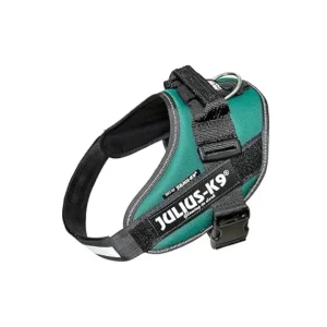 Julius K9 - IDC Powerharness Pettorina Verde Scuro - Taglia Mini-Mini 40-53 cm - Peso 4/7 kg