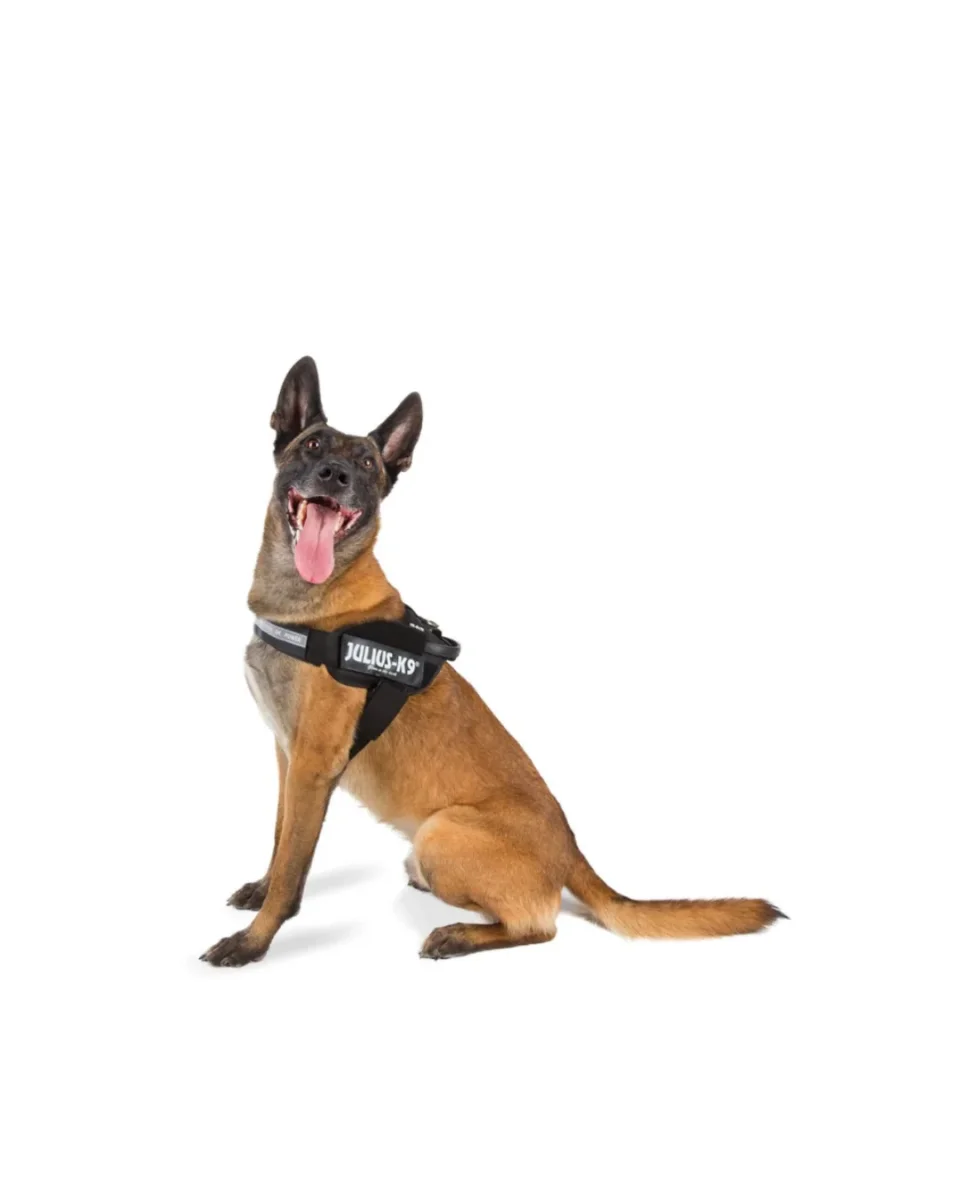 Julius K9 - Powerharness Pettorina Nero Taglia 1 - 63/85 cm - Peso 23/30 kg - immagine 3