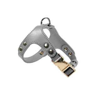 Record London Pettorina in Similpelle 1,5x36,5  44-53cm