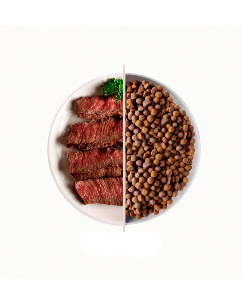 Top - Manzo 3kg - immagine 3