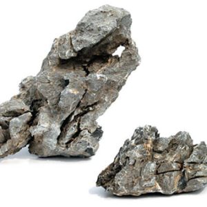 Seiryu Stone S (da 5 a 10 cm)