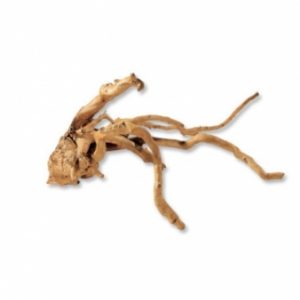 Branch Wood L (da 40 a 60 cm)