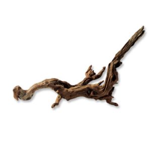 Horn Wood S (da 20 a 30 cm)