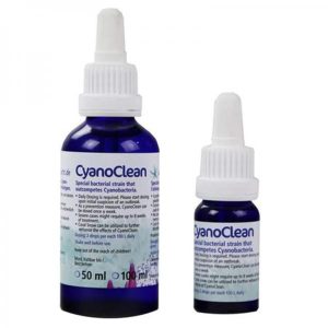 Korallen-Zucht CyanoClean 10ml
