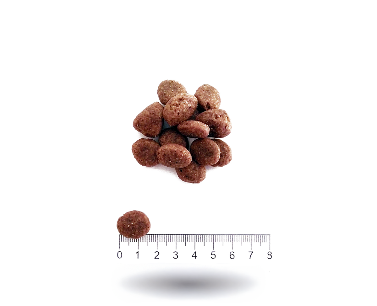 PROLIFE CANE GRAIN FREE SENS. ADULT Medium Large MANZO & PATATE KG. 10 - immagine 3