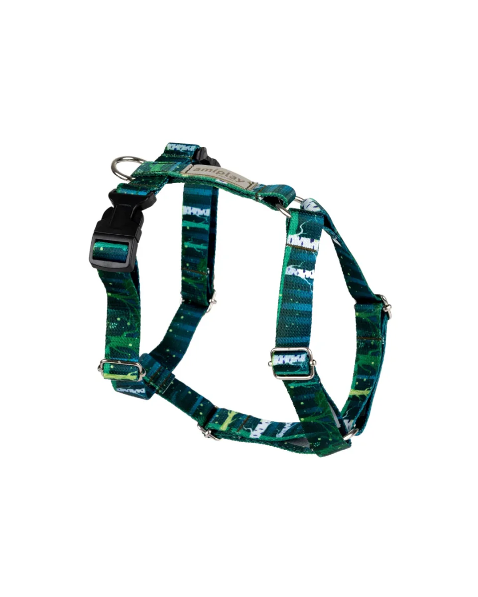 Amiplay - Pettorina ad H Regolabile - Misura L - Colore Foresta - immagine 2