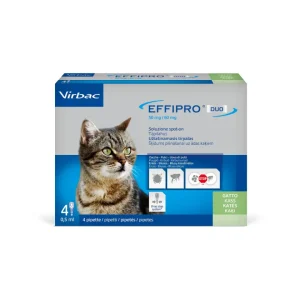 Effipro Duo Spot-On Antiparassitario Gatti 4 Pipette
