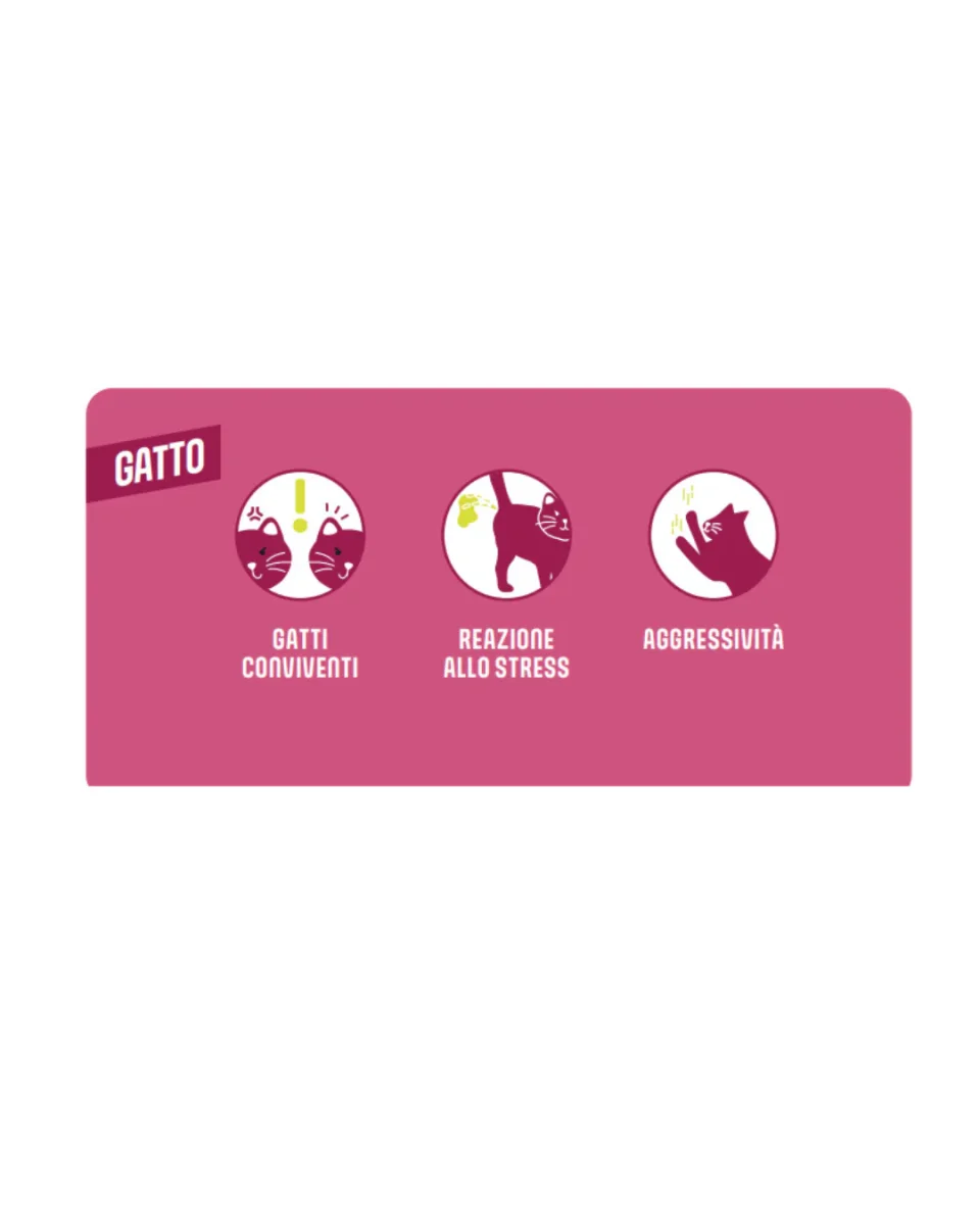 Calmisto - Home Diffusor Starter Pack Gatto - Diffusore + Ricarica 1x6ml - immagine 3