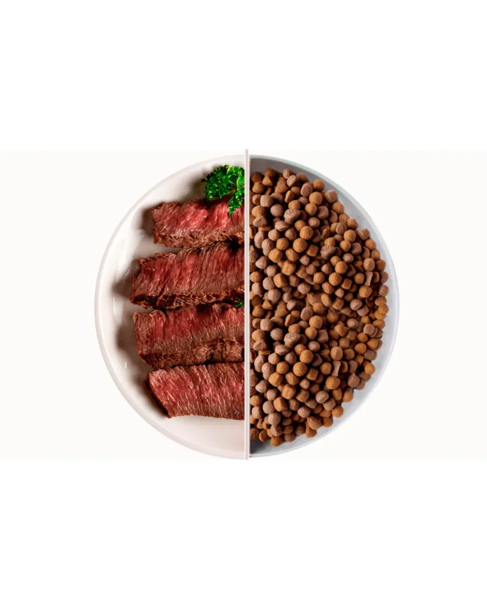 Top - Manzo 10kg - immagine 3