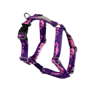 Amiplay - Pettorina ad H Regolabile - Misura S - Colore Mountains