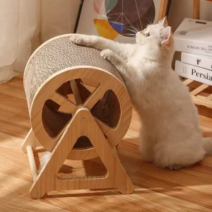 Ruota per gatti – modello “whiskerwheel”