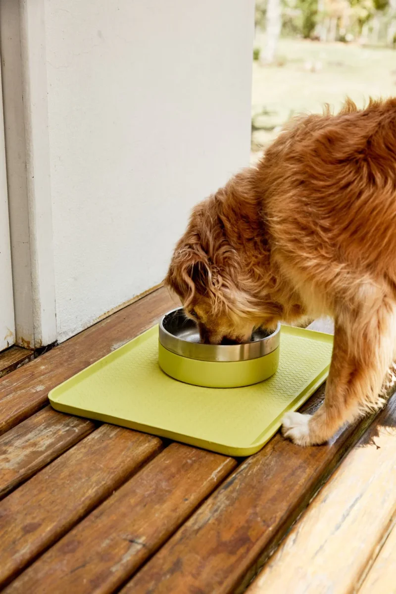 Zee.mat lime green - immagine 3